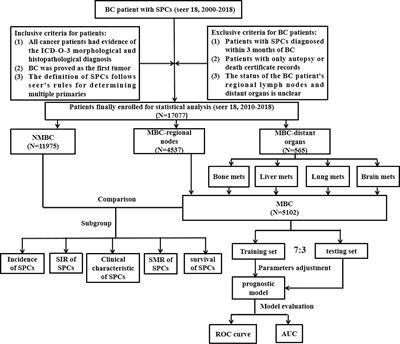 Relationship between metastasis and second primary cancers in women with breast cancer